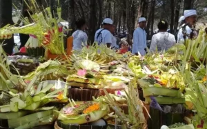 persiapan 5